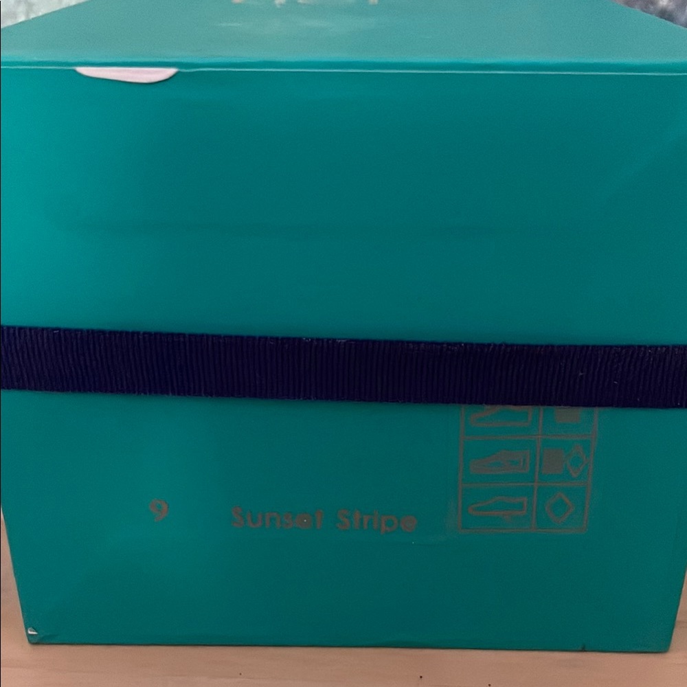 Tieks by Gavrieli Teal Box with Navy Flower - Picture 3 of 5